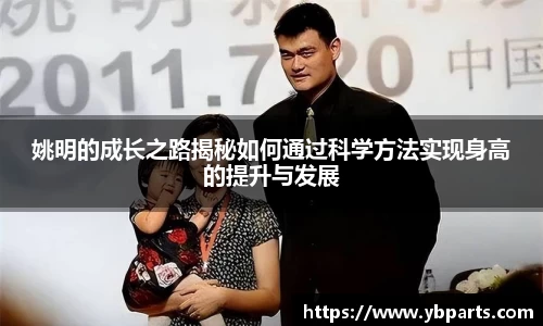 BSports网页版