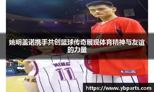 BSports网页版